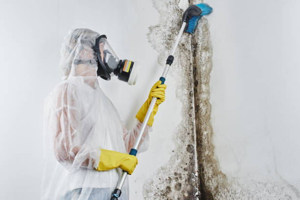 Water Damage Restoration in Wilton Manors, FL