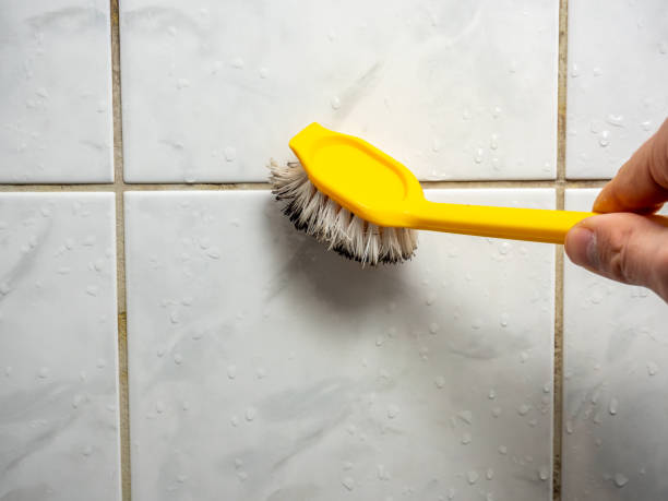 Office Mold Removal Services in Wilton Manors, FL