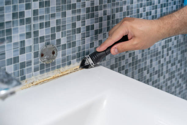 Best Attic Mold Removal  in Wilton Manors, FL